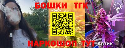 apvp Пугачёв