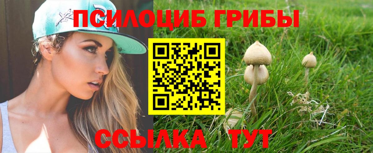 Галлюциногенные грибы GOLDEN TEACHER  Вход с VPN  как найти наркотики  Псилоцибиновые грибы прущие грибы  Спасск-Дальний 