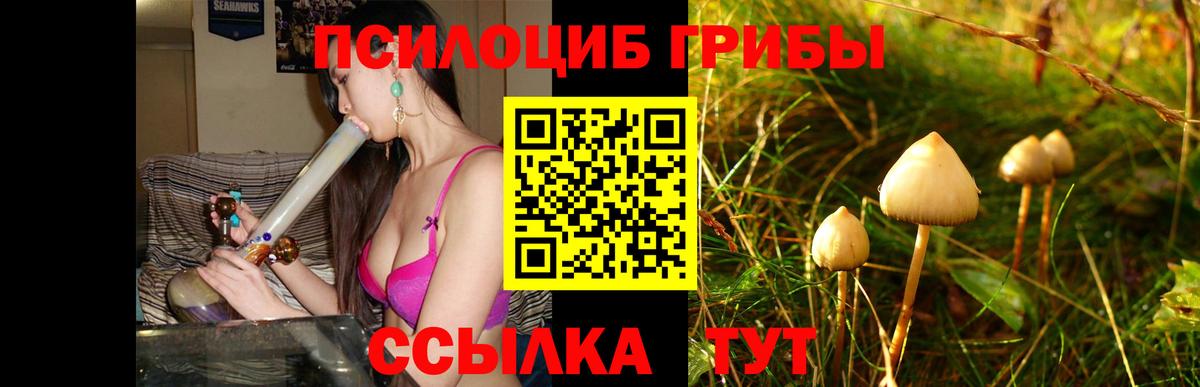 Псилоцибиновые грибы мухоморы Спасск-Дальний